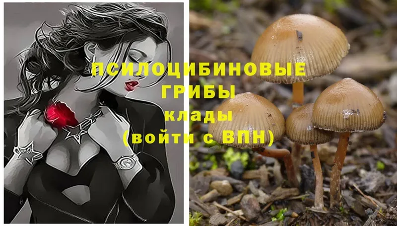 Псилоцибиновые грибы Magic Shrooms  Ефремов 